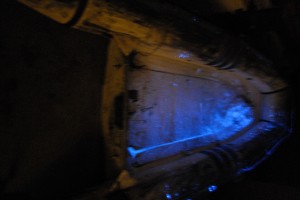 luminol_in_dinghy